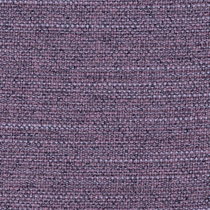 Scilla solid light purple (viola chiaro)